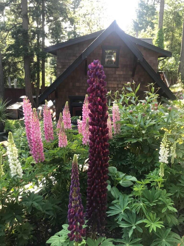 WOODWORKING AND LANDSCAPES SECTION 4